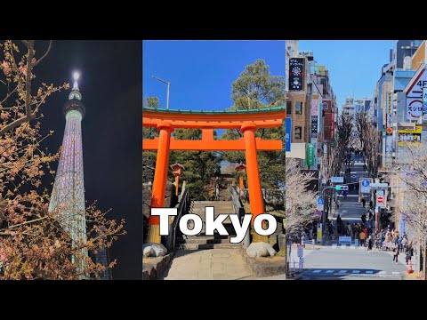 🗾My 3 days in Tokyo, Japan⛩️｜Waseda早稲田｜Kagurazaka神楽坂｜Shibuya Sky【東京旅行】【Japan Travel】【일본 여행】