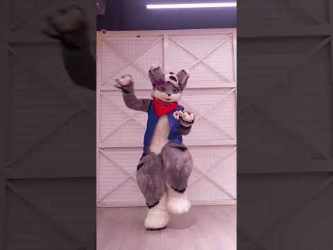 #WolfOREZ say #ashleylookatme or #lookatme #twice #kpop #dance #dancing #fursuitdance