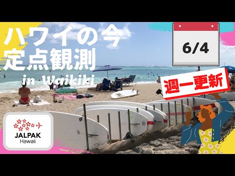 【ハワイの今】ワイキキ定点観測  2024年6月4日