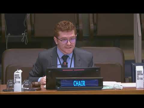 CSocD61 High-level panel discussion on the Fourth Review and Appraisal of the MIPAA