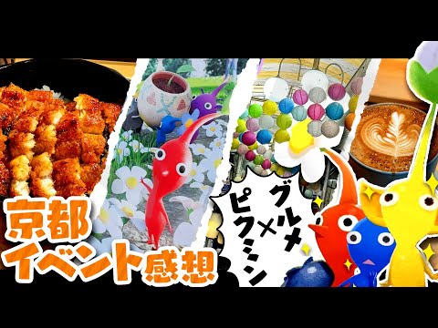 京都でピクミンとグルメを巡る旅【ピクミンブルーム京都ロケ#1】