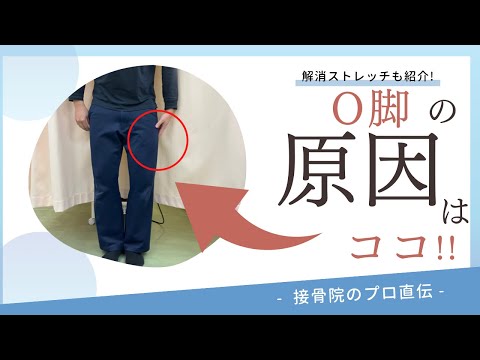 【Ｏ脚の治し方】膝と膝に隙間がある、足が速くなりたい、膝が痛い方へのストレッチ！｜接骨院のプロが教えるお家セルフケア｜テラピスト接骨院