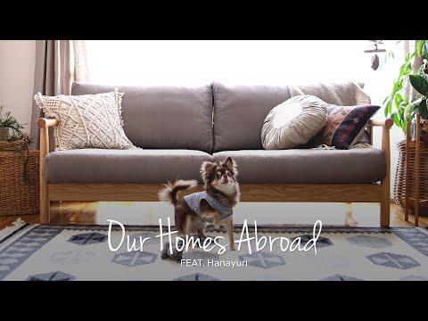 Sofa Cover for Pet Owners | The Home Abroad with @Hanayuri34  | Comfort Works | THA#10