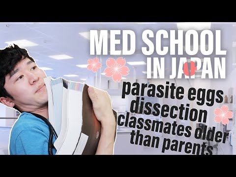 Studying Medicine in Japan - Telling You Everything You Want to Know