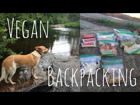 What I ATE While Backpacking (VEGAN) | Vegan Backpacking in Algonquin Park, Canada