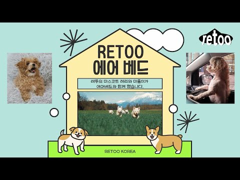 레투®가 만든 내구성 짱짱 에어베드RETOO Air Bed 🌟✨레투의 마스코트 ❗❕레리와 마롱이가 에어베드와 함께했습니다~!