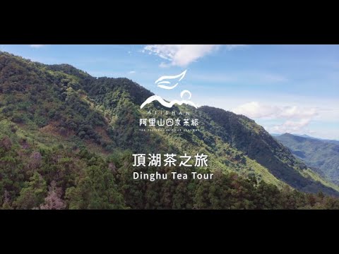 2021阿里山春季線上茶旅-頂湖 茶之旅-Alishan Tea Festival In Four Seasons