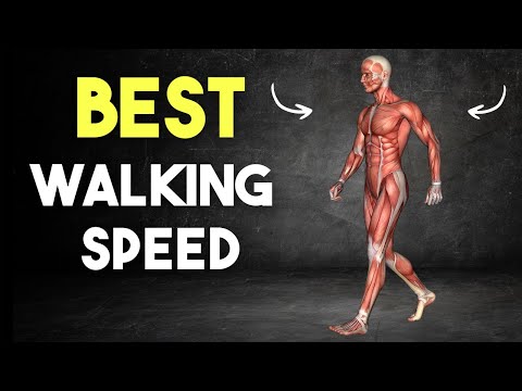 How FAST Should you ACTUALLY Walk? Here's Why it MATTERS