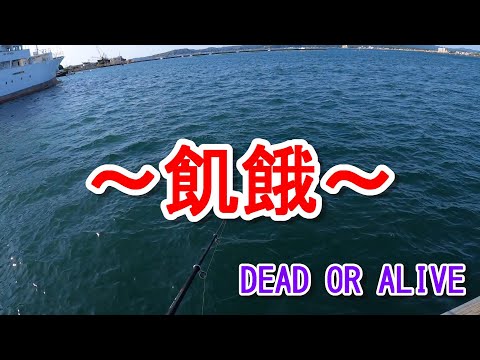 【１日目】釣った魚しか食べれない３日間