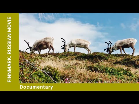 Finnmark. Russian Movie. Documentary. English Dubbing