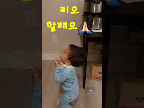 요것도 신박한 장난감 ⁉️ #아기 일상 #아기 #shorts #장난감 #충전기 #cute #baby #14개월아기