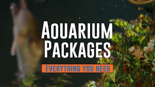 Aquarium Packages - Designed just for you!!!!