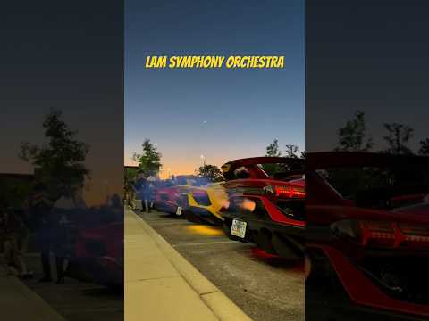 Lambo Symphony Orchestra #lamborghini #carsofyoutube #mrbeast #huracan #aventador #exhaustsound