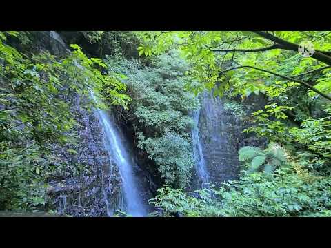 EXPLORING BARRS FALLS AT THE CATLINS