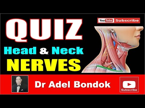 Quiz on the Head and Neck Nerves, Dr Adel Bondok