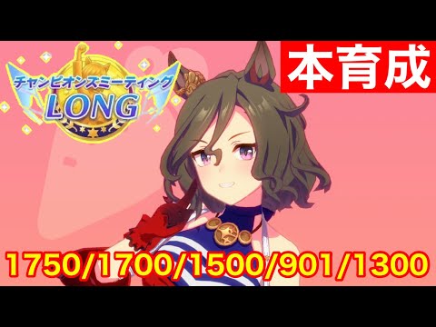 【ウマ娘】チャンミLong伝説のタップダンスシチー本育成をやっていく！！【チャンピオンズミーティング有馬記念】