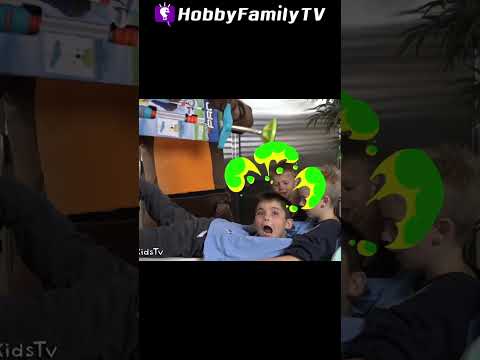 We Find Surprise Toys with FNAF on HobbyFamilyTV