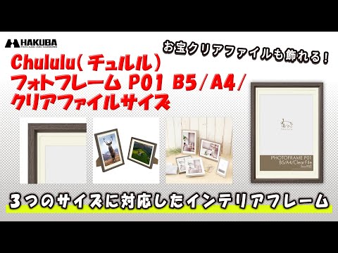 ハクバ Chululu（チュルル） フォトフレーム P01 B5／A4／クリアファイルサイズ