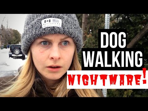 The WORST Thing That's Happened While DOG WALKING