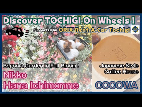 Discover TOCHIGI On Wheels ! ｜Nikko Hana Ichimonme ｜Coffee Teahouse COCOWA