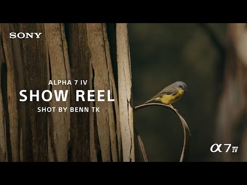 Sony | Alpha 7 IV Show Reel shot by Benn TK | Sony Alpha