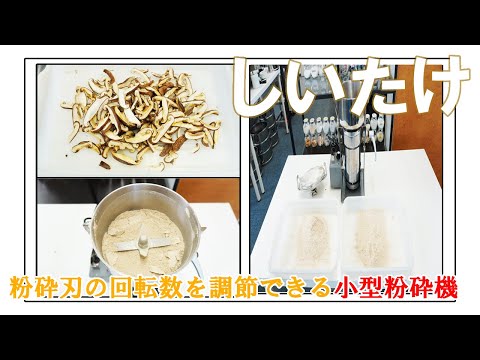 【粉砕刃の回転数を調節できる粉砕機】しいたけをパウダー加工（フリースピードミル）