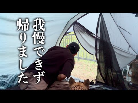 緊急でご報告する事なかったので緊急で公開します(エクストラキャンプ)