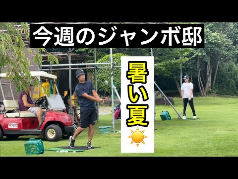 梅雨明け⁉️今週のジャンボ邸練習場　【プロテスト始まりましたね。】