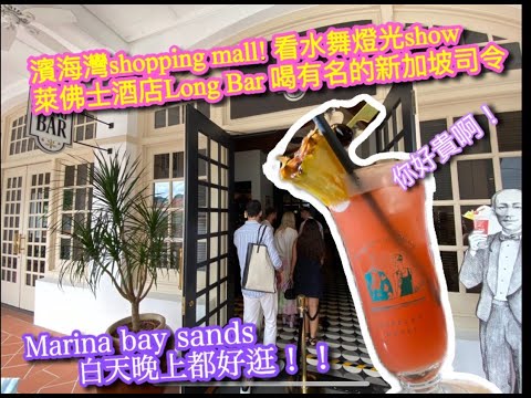 【新加坡🇸🇬旅行Vlog 】新加坡濱海灣(Marina bay sands) ｜萊佛士酒店 Long Bar 喝最有名的新加坡司令 ｜海灣坊燈光水舞秀｜Travel Vlog in SG