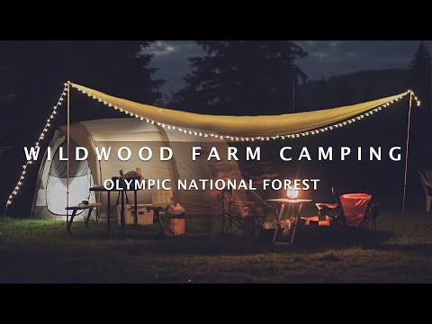 Wildwood Farm Camping - Olympic National Forest / Cinematic 4K