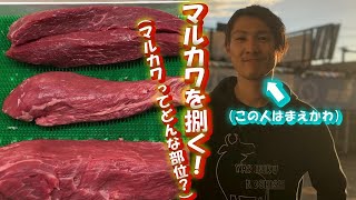 【肉捌き】赤身肉！！世間ではあまり知られてない赤身の部位！マルカワを捌いたよ！