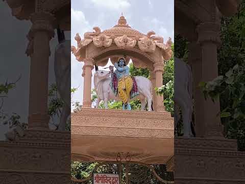 Sri Krishna Govinda hare murari #srikrishna #mathura #mathuravrindavan #krishnastatus #shorts #yt