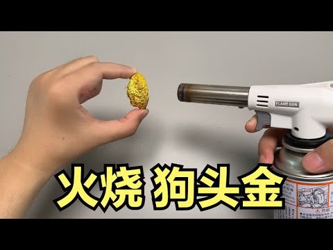 测试：斥巨资买了50g狗头金，老板说足金正品？帅小伙亲测！