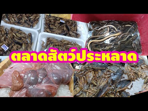 Jurassic Thailand Local Market , Strang Market in Thailand #Jurassic #thailandmarket #localmarket