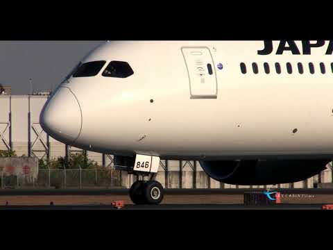 " JAL 国内線仕様のB787を伊丹空港で撮る!! " Japan Airlines(JAL) Boeing787-8 Dreamliner JA846J