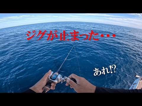 丹後で秋のジギング合宿！！！エギングでアオリイカも狙うぜ～！！！