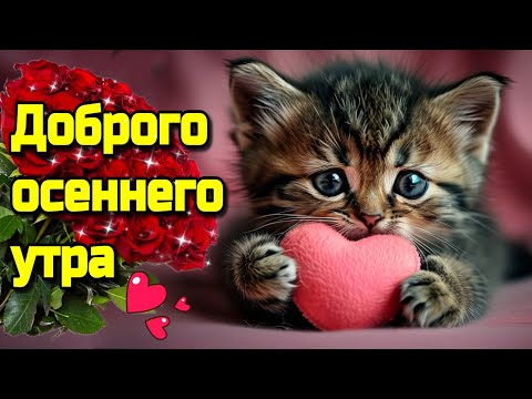 🌞☕Самого доброго осеннего  утра!🍁Благословенного дня!🌞Красивая музыкальная открытка🍁