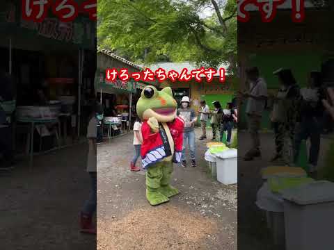 灰屋かわず祭2023　#Shorts