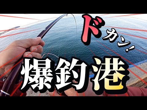 【北海道】【釣り】爆釣祈願‼️ドカンと爆釣港！＆サーフで大物‼️釣りチューバ―集結！