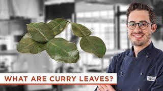 Why Should You Cook with Fresh Curry Leaves?