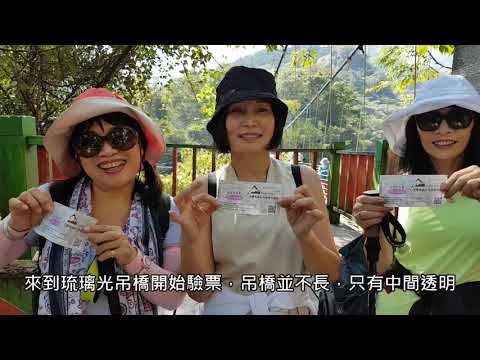 20191108東埔溫泉銅鑼杭菊