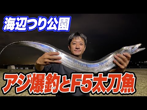 【横須賀海辺つり公園】爆釣するアジを泳がせてF5太刀魚！泳がせるべき超重要なタイミングを解説