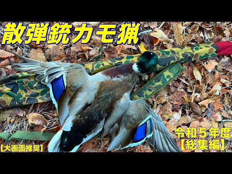 令和5年度猟期 散弾銃カモ猟 総集編 Wild Duck Hunting with a Shotgun