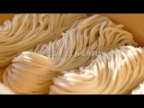 丸亀製麺「麺職人の情熱Vol.39／麺職人　伊藤博義」篇