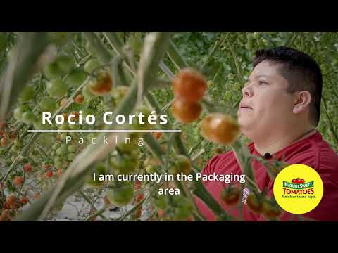 Meet Rocio Cortes, one of the 2021 Associates to be featured Under The Label here at NatureSweet!