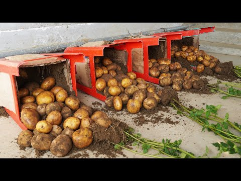 Plastic Chair Potato Farming: Efficient and Cost-Effective Approach