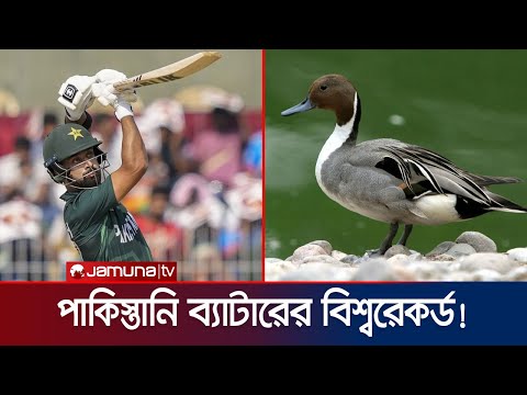 ডাকের বিশ্বরেকর্ড গড়লেন আব্দুল্লাহ শফিক! কষ্ট লাঘব সুরিয়া কুমারের | Shafique | Duck | Jamuna Sports