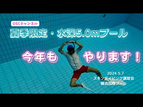 【夏季限定】神奈川にある水深5.0mプール！今年もやります！OSCスキンダイビング講習会（基礎編・応用実践編）の練習風景 in 横浜国際プール