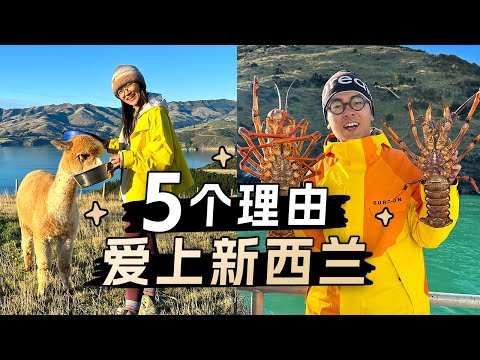 这5个理由会让你爱上新西兰旅行！