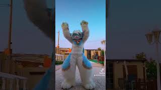 Dancing puppy 🐾 #Furry #Fursuit #Fursuiter #FurryFandom #furriesoftiktok #furrytiktok #Furries